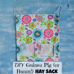 How to Make a Fabric Guinea Pig (or Bunny!) Hay Sack/Bag Tutorial