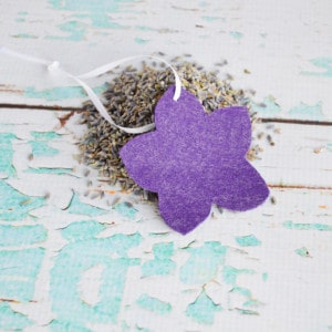 Easy DIY Natural Hanging Air Freshener