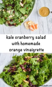 kale cranberry salad with homemade orange dressing