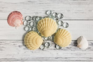 Nourishing Lotion Bar Recipe/Tutorial (beeswax free!)