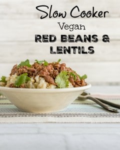 Slow Cooker Vegetarian Curried Beans and Lentils