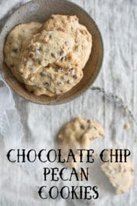 Chocolate Chip Pecan Cookies Recipe